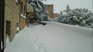 preview picture of video 'Mondavio, panorama con neve e gatti timidi'