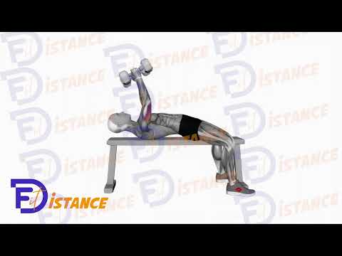 Barre au front aux haltères (Skull crusher) - Exercice Barre au front aux haltères (Skull crusher) en vidéo