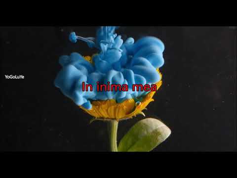 Francisca feat Proconsul & Uddi - Arunci cu umbra _ Versuri ( lyrics)