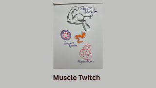 Muscle Twitch