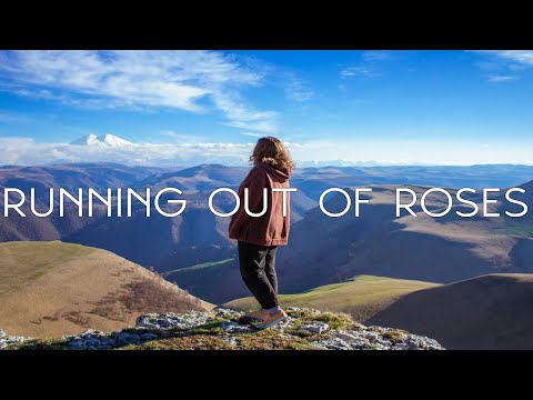 Alan Walker x Jamie Miller - Running Out Of Roses (Lyric Video)