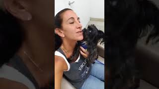 Update Jay &amp; Agnes sadly are Not candidates for Cataract surgery