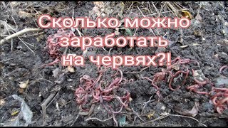 Ссылка