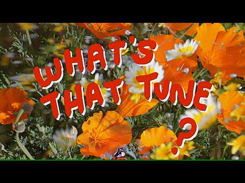 The Wind-Ups video