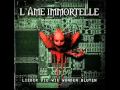 L'âme Immortelle - Figure in the Mirror (with lyrics ...