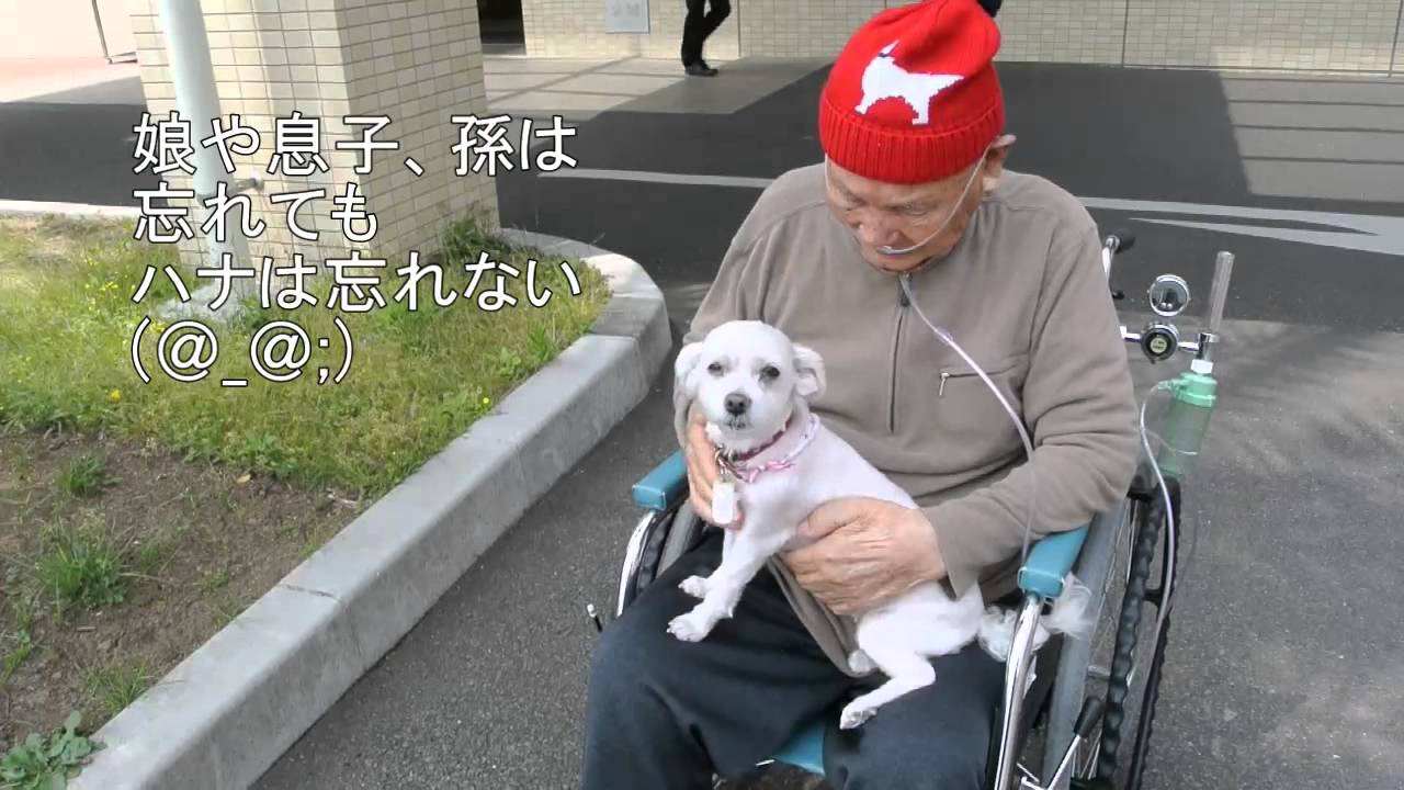 じいちゃんとハナの10日ぶりの再会　音楽あり