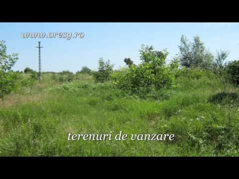 Active In Lichidare | Terenuri De Vanzare In Romania