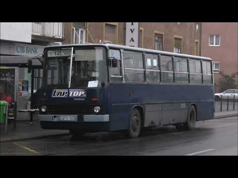 Ikarus 260.46 - BPO-305 | D2156 (audio) + kishíd