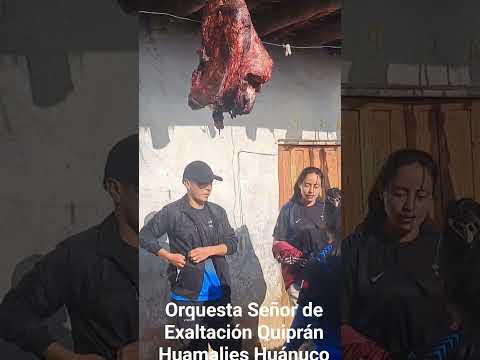 Orquesta Señor de Exaltación Quiprán Huamalies Huánuco