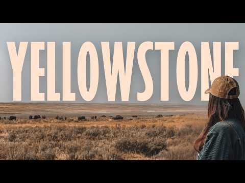 Van Life Through Yellowstone: First Time Seeing Bison & Geysers 