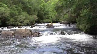 preview picture of video 'White Water Kayaking @ Barrington Tops'