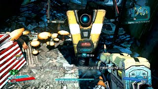 『とても』素直で温厚なゆかりさんのボーダーランズ２　PRT５６