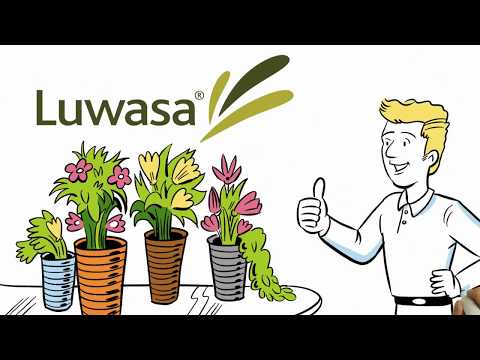 Interhydro AG Erklärungsvideo