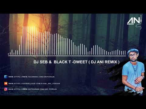 DJ ANI FT. DJ SEBB , BLACK T - DWEET   #JAANWAAR