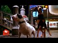Babe Pig In The City Scary Dog Chase