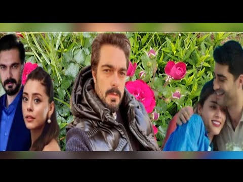 ZASTO JE HALIL IBRAHIM CEYHAN - PLAKAO?