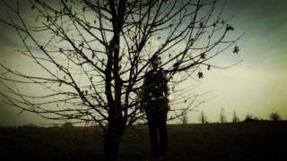 BOLOGNA VIOLENTA - Blue Song [official video]