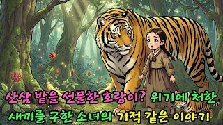 Download lagu 산삼 밭을 선물한 호랑이 위기에 처한 새끼를 구한 소녀의 기적 같은 이야기 |야담 |옛날이야기 |민담 |전설 | 설화 mp3