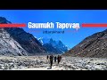 Gangotri Gaumukh Tapovan Trek Trek The Himalayas