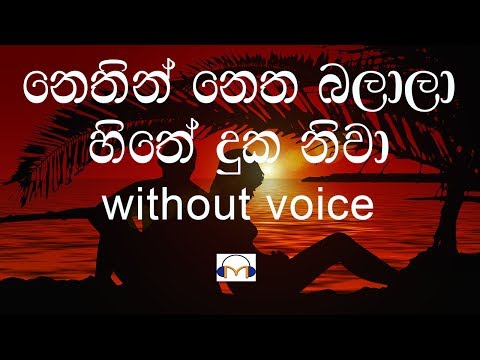 Nethin Netha Balala Karaoke (without voice) නෙතින් නෙත බලාලා