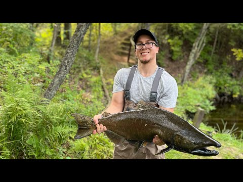 Landing A King Salmon Without A Net (Tailing)