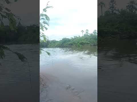 barragem de Moraújo na manhã de hoje, 1 de maio