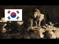 The Lion King 2019 Scar Mufasa Korean 한국어