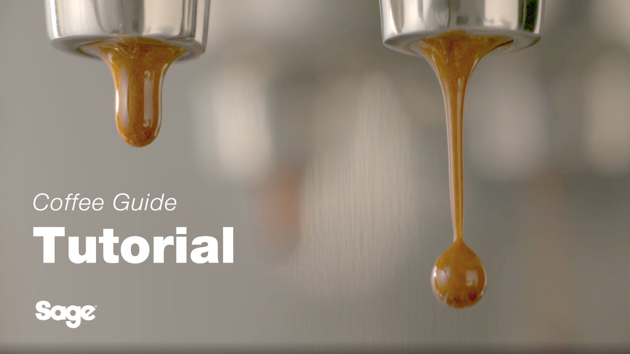 Breville coffee guide tutorial - Getting your first extraction right