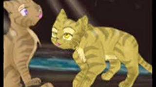 HeatherXLion- Some Things Get Lost