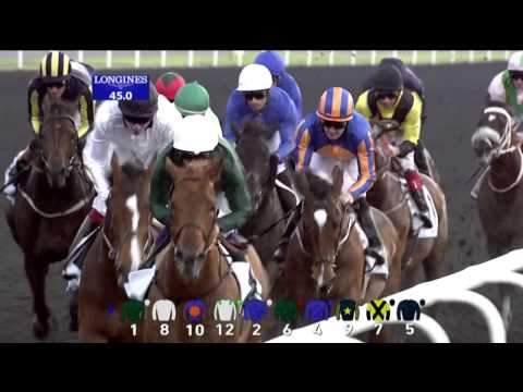 29.03.2014 Meydan (Dubai-UAE) 4.Race UAE Derby 2014 - Group II 1.900 m