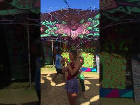 Psydewise LIVE @ Hug a Tree (April 2018)