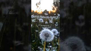 People You Know - Selena Gomez | lyrics | aesthetic | whatsapp status | english songs | slowed