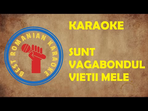 KARAOKE: Sunt Vagabontul Vietii mele La carciuma din cartier Versuri Negativ
