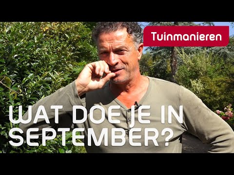 , title : 'Wat doe je in september in de tuin? | Nazomer | Tuinmanieren'