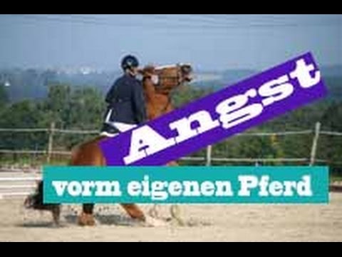 Angst vor dem eigenen Pferd