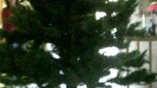 It got a little messed up.