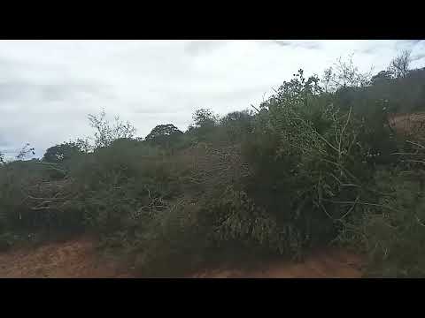 Desmatamento Anagé Bahia (2)