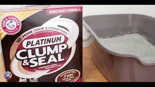 The BEST Clumping Cat Litter: Reviewed & Compared