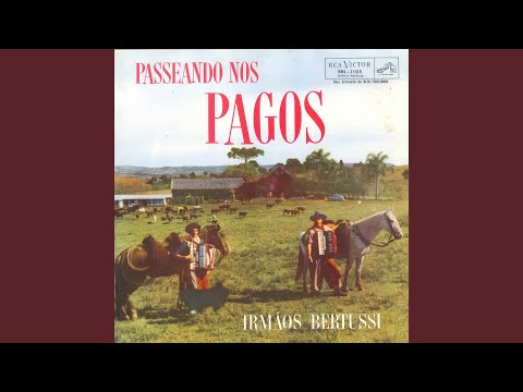 Zaino De Estimação - Os Bertussi