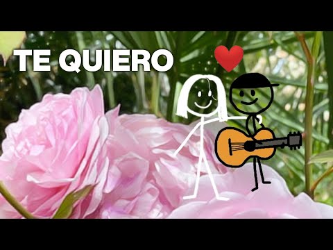 Nueva canción