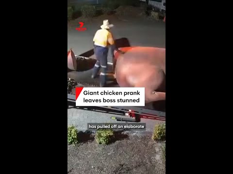 Giant chicken prank leaves his boss stunned