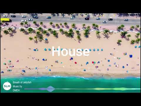 Breath of jellyfish (No Copyright Music) House Music Fashion No copyright - Música para videos