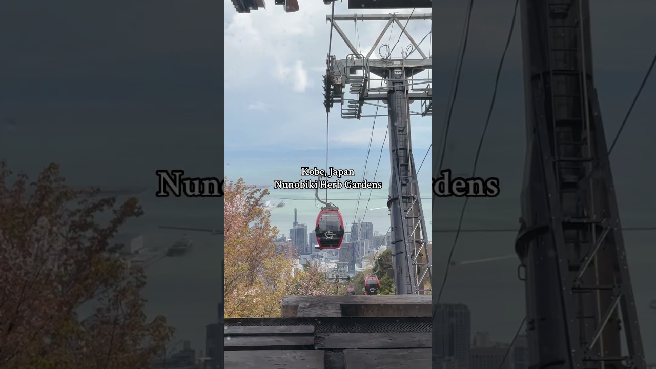 YouTube Short thumbnail