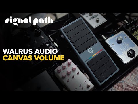 Immagine Walrus Audio Canvas Volume Pedal 2026 - Present Grey - 4