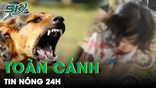 Toàn Cảnh Tin Nóng 24h Ngày 28/3 | Tin Tức Thời Sự Cập Nhật Mới Nhất Hôm Nay | SKĐS