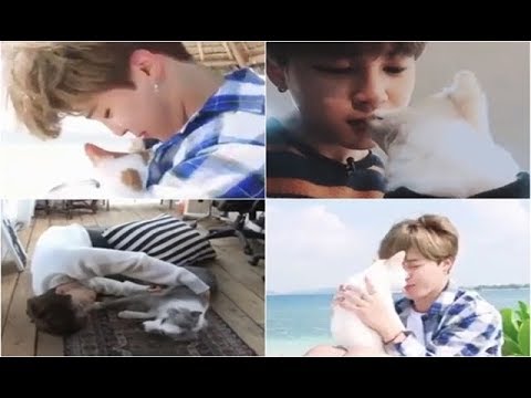 [Cute Moments] Jimin and Pets