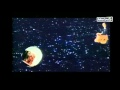 RENAUD - La Mère à Titi (Clip 1988 - Full HD 1080p)