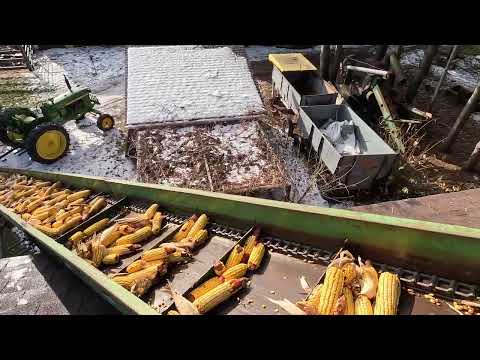 John Deere 3010 picking corn and filling crib 4K
