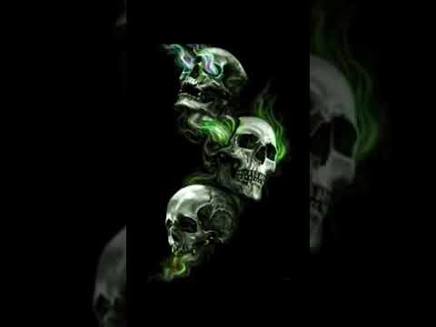 VNXM-Linea occidendum link in bio