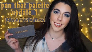 Pan That Palette Update 1 | 3️⃣ months of use